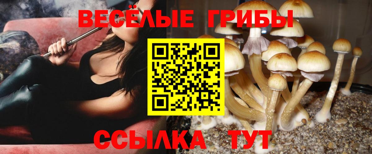 Галлюциногенные грибы Cubensis  Псилоцибиновые грибы Magic Shrooms  Вход с VPN  Среднеуральск 